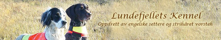 Lundefjellets kennel