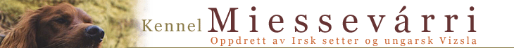 Web site logo
