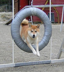 Agility