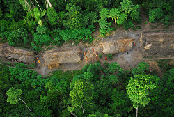 Uncontacted tribe,tribe,tribes,Amazon,Brazi,Acre,Peru Uncontacted tribe,tribe,tribes,Amazon,Brazi,Acre,Peru