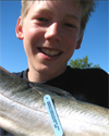 forstefisktattsmall