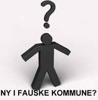 ny i fauske 2  