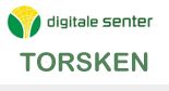 ds logo torsken